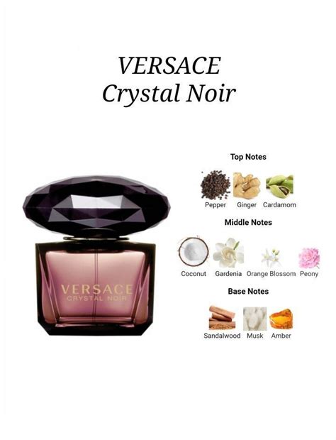 versace noir perfume notes|Versace black noir perfume price.